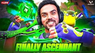 Rank Grind 🔥 Road to Immortal Day 7 | Valorant Ranked Live #valorantlive #valorant  #valorantindia