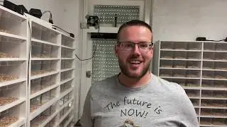 Tips voor warme dagen | Future-Morphs