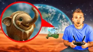 O Meu Drone Apanha o COCOFANTO ELEFANTO na Vida Real! | RayMik Brasil