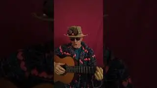 Merry Christmas Song(Santa's No Fly Order)