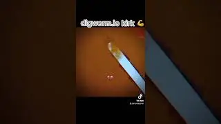 digdig.io kirk VS digworm.io kirk (Sorry for lag 😭)