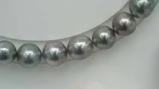 43pcs Multicolor 8-11mm - SB AAA/AA Quality Tahitian Pearl Drilled Necklace NL1736 WF1