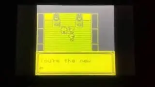 Me finishing the Pokemon Blue League Gary for 3DS