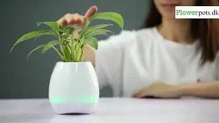 Flowerpots.dk - Flowerpot Bluetooth Speaker