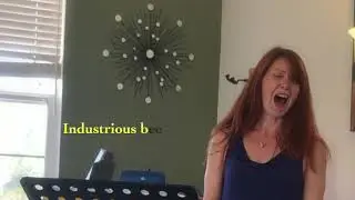 Soprano Nikki Einfeld sings 
