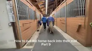 How to put the horse back into their stall part 9