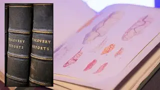20th Century Scientists' Sketches of Southern Ocean Observations