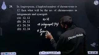 In Angiosperm, if haploid number of chromosome is 12 then what will be the no. of chromosomes in....