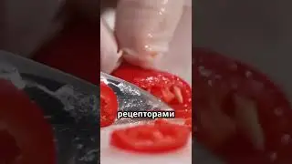 🔥 Почему перец чили обжигает язык? 🌶️ #факты #чили #перец #язык #огонь #жжение