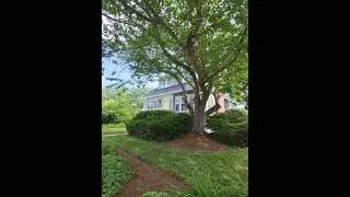 Murray Hill Annapolis. Old charm,  gorgeous streets, modern conviniences.