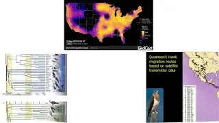 Frontiers of Bird Science | Bird Science & Conservation Webinar