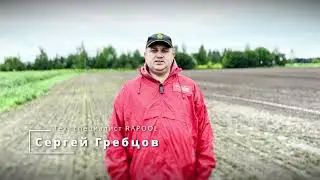 RAPOOL 🟠 День растениеводства 19 сентября 2025