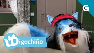 Digochiño | Imos de concerto #DígochoEu