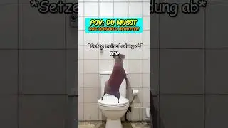 PoV: Du MUSST das Schulklo benutzen #katzenvideos  #schule  #ferien