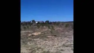 PRR N2sa.MOV