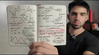 How to fix daily fatigue caused by stimulants (do this today)