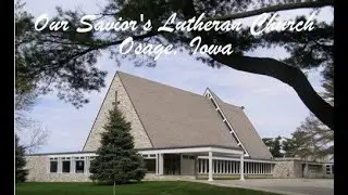 January 11, 2026 (Bishop Kevin T. Jones)