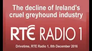 The decline of Ireland's cruel greyhound industry