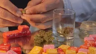 How to Make a Pipe with Candy Marijuana Tips & Tricks with Bogart #22