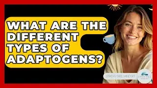 What Are The Different Types Of Adaptogens? - Stress Free Mindset