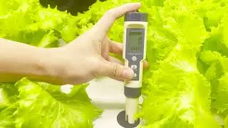AH-PH+EC Meter,TDS,Salt,Water Temperature