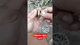 mancing mania tempat papuyu/ betok kalimantan