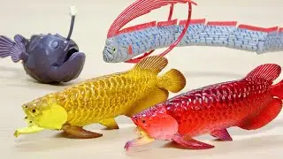 あつ森で釣った珍しい魚 リュウグウノツカイフィギュアがめちゃ長い♪ 世界釣大戦 モンスターフィッシュ ガチャ アロワナ, チョウチンアンコウ