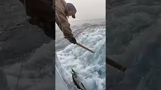 Monster Albacore Tuna! ❤️🤑 #fishtough #albacore #tuna #saltwaterfishing #oregon
