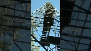 January 29, 2025 old fire tower at olustee battlefield