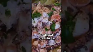 Passionate Spanish traditional food-Pulpo a la Gallega