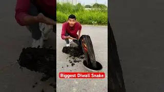 5000 Diwali Snake Bomb at Once #diwali #patakhe #shorts