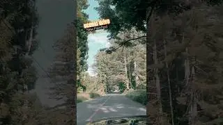 scenic drive | new Hartford #drivetour #connecticut #neighborhood