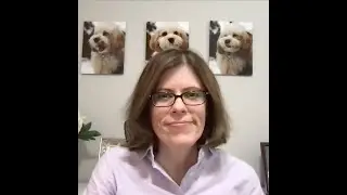 Co-Marketing Opportunities for Your Veterinary Clinic