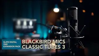VMS ML-1 Classic Tubes 3 & Blackbird Mics