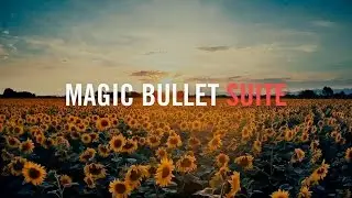 Red Giant Magic Bullet Suite 12.0.1