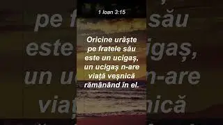 1 Ioan 3:15 #relaxare #yoga #bible #biblia #peace #psalms #psalmi #meditatie #goodvibes #isus