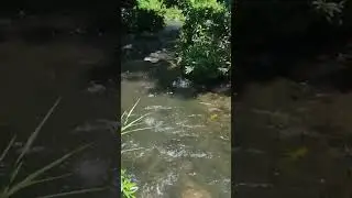 aun hay r&iacute;os limpios