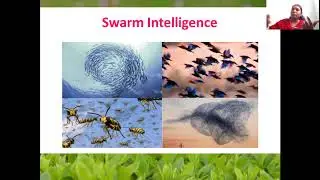 Branches of Nature Inspired Computing Techniques by Deeba Kannan