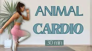 ANIMAL CARDIO LOW IMPACT | 30 Minute Home Workout