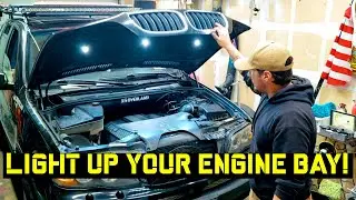 Under-Hood Lights (Engine Bay Lights)