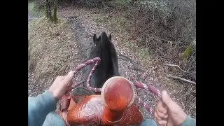 How To Stop Your Horse From Stumbling So Much, Mike Hughes, Auburn California
