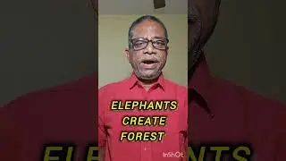 ELEPHANTS CREATE FOREST #eco #ecosystem #biodiversity #bio #motivation #inspiration #india #love #uk