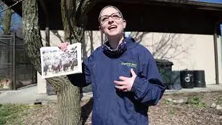 3rd Grade - Lesson Two Animal Social Interactions (3 LS2 1)