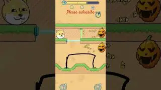 Dog#recuse#very#nice#game#shortvideo