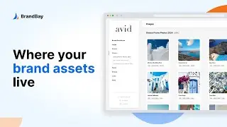 Brandbay: Multi Brand Asset Management Software