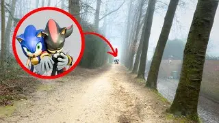 Shadow está herido… ¿Puede Sonic ayudarlo?