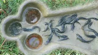 Amazing Hole Fish Trap - Two Smart Men Build Fish Trap By Muddy Soil And Pot - A Lot Of Fish In Trap