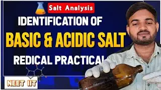 Identification of basic and Acidic radical from the given mixture of salt || MgSo4 11th & 12th #neet