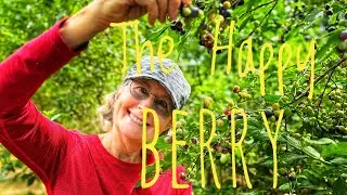 Great Day At The Happy Berry