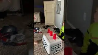 Landyn Scott York plays a money game ( find the money keep the money)